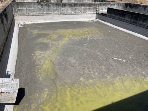 Dịch vụ cho thuê xe và nhân công hút – vận chuyển bùn vi sinh