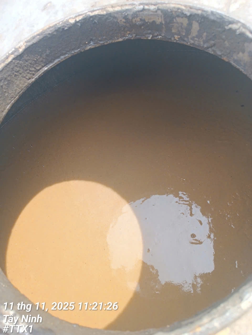 Vai trò của bùn vi sinh trong hệ thống xử lý nước thải