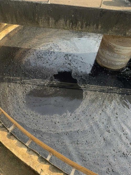 Dấu hiệu nhận biết bùn vi sinh đang gặp sự cố