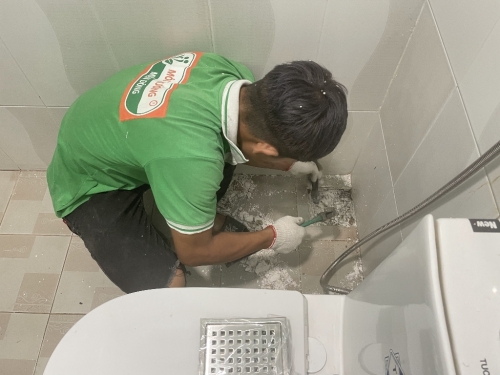 Vì sao nhà vệ sinh có mùi hôi vào buổi sáng hoặc sau khi không sử dụng lâu?