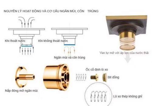 So Sánh Các Loại Phễu Thoát Sàn Phổ Biến – Nên Chọn Loại Nào Cho Hiệu Quả Chống Hôi Tốt Nhất?