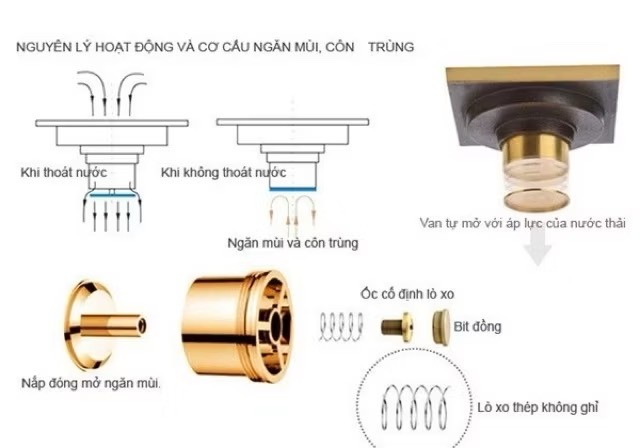 So Sánh Các Loại Phễu Thoát Sàn Phổ Biến – Nên Chọn Loại Nào Cho Hiệu Quả Chống Hôi Tốt Nhất?