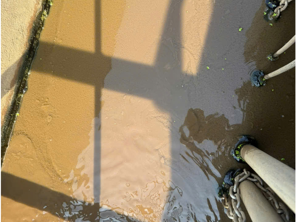 Bảng giá vận chuyển bùn vi sinh