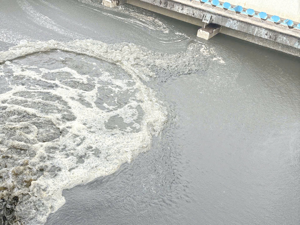 Cung cấp bùn vi sinh kỵ khí