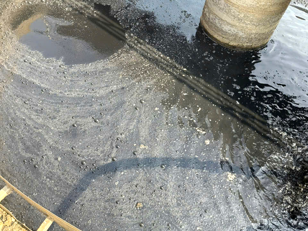 Bùn kỵ khí là gì ?