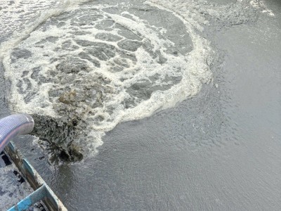 Bùn vi sinh kỵ khí là gì